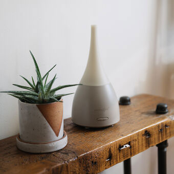 an essential oil diffuser next to a aloe vera plant on a wooden table